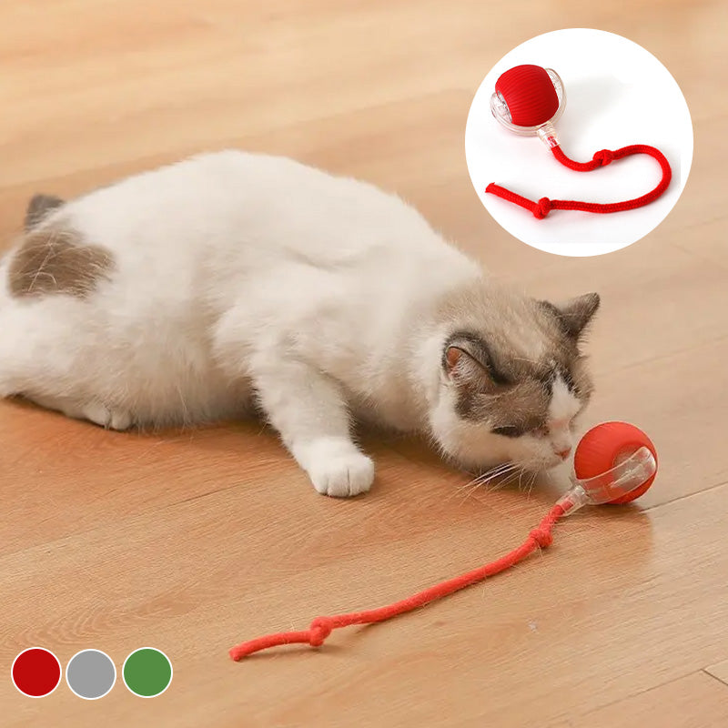 Bouncing toy for active and curious cats