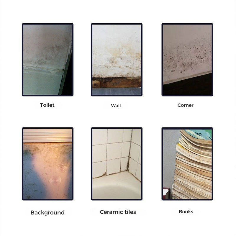 Anti-mold cleansing mousse for a healthy home