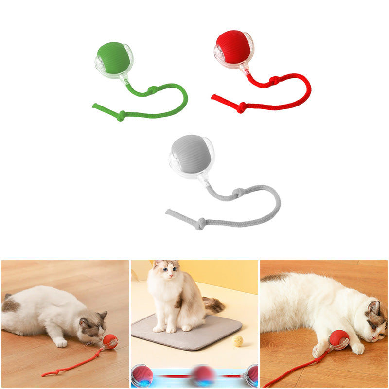 Bouncing toy for active and curious cats