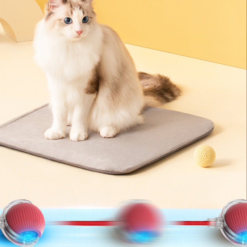 Bouncing toy for active and curious cats