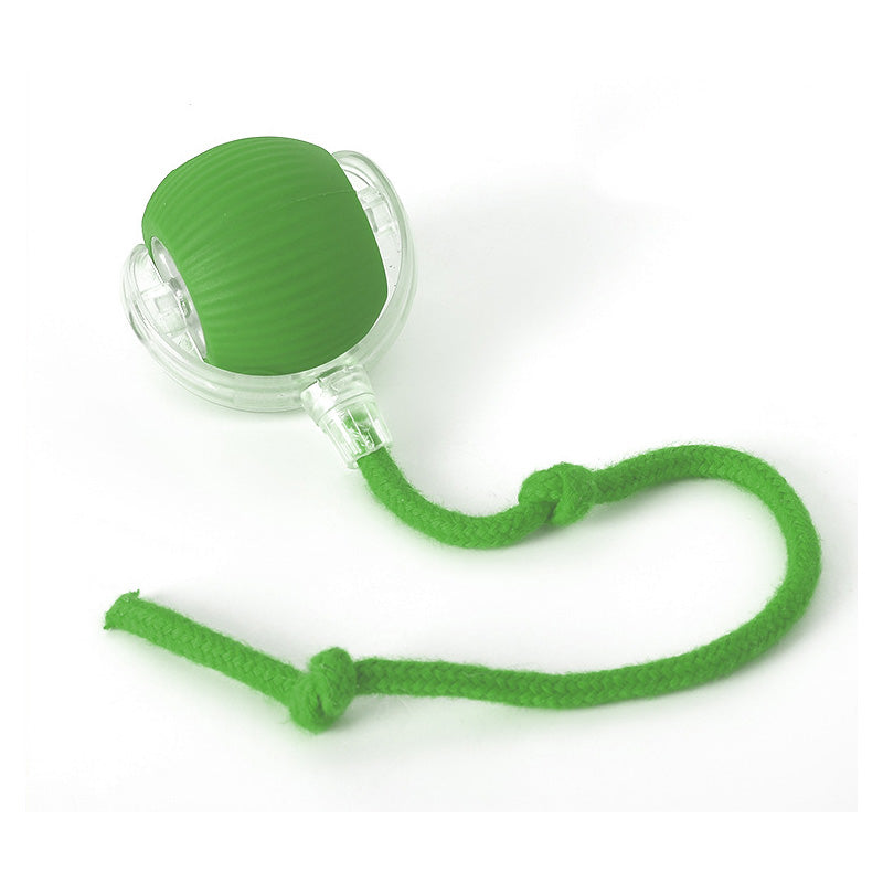 Bouncing toy for active and curious cats