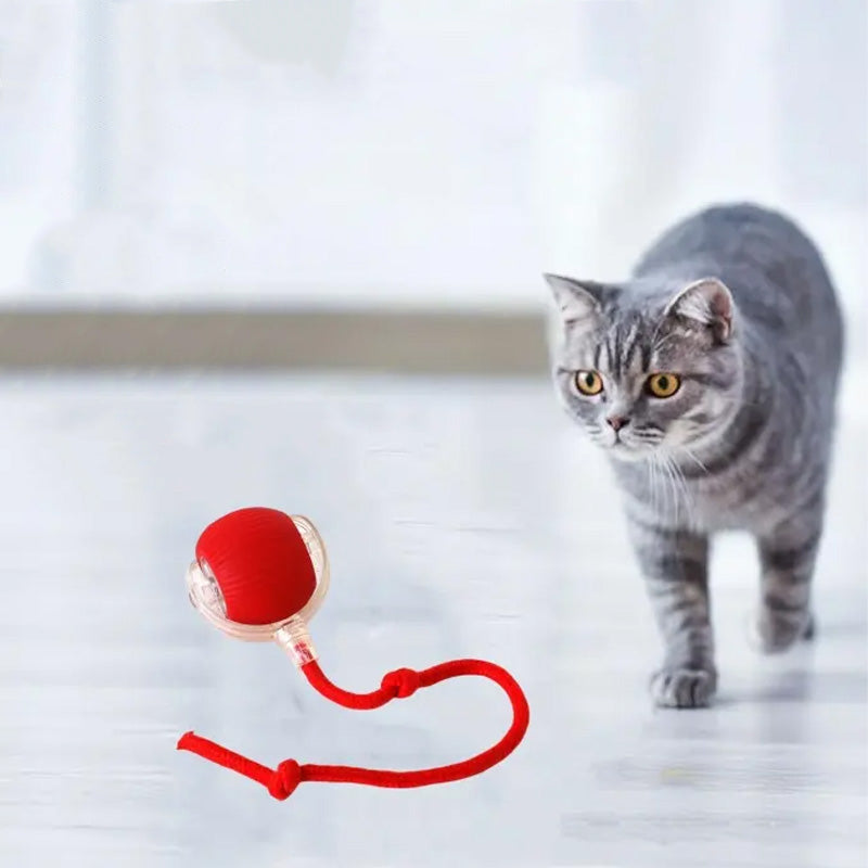 Bouncing toy for active and curious cats