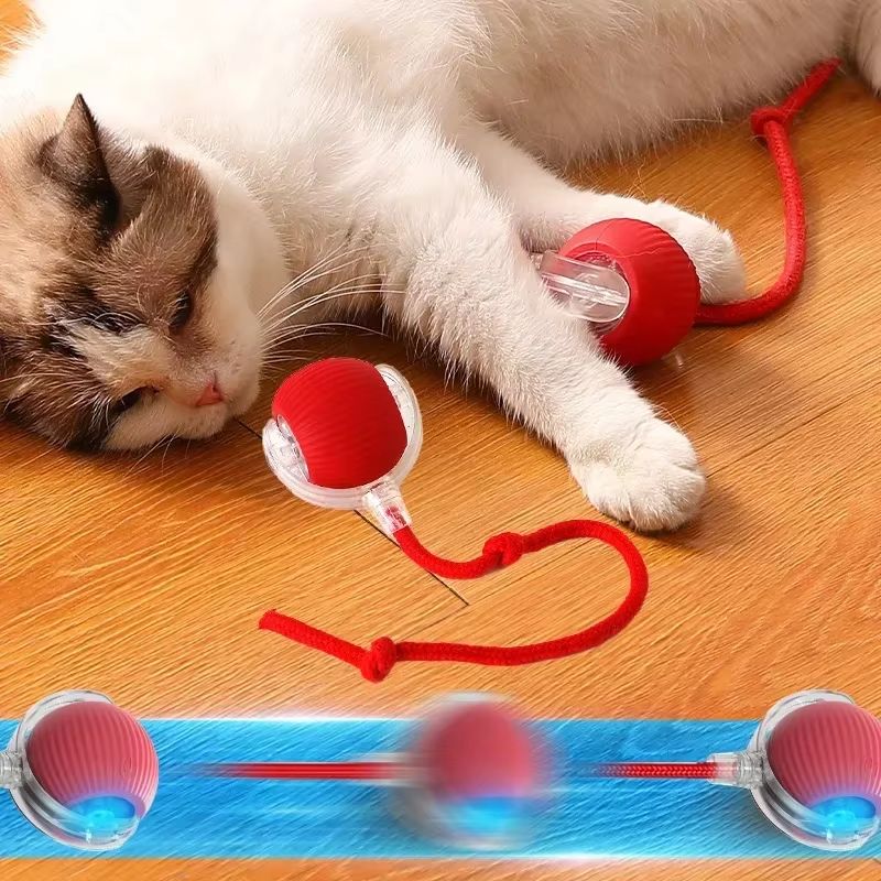Bouncing toy for active and curious cats