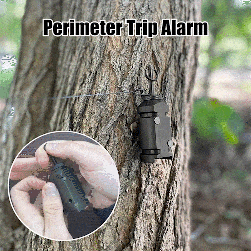 Deterrent perimeter trigger for outdoor use