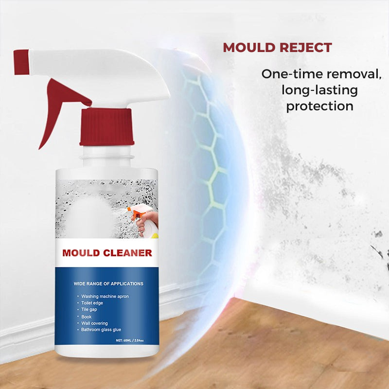 Anti-mold cleansing mousse for a healthy home