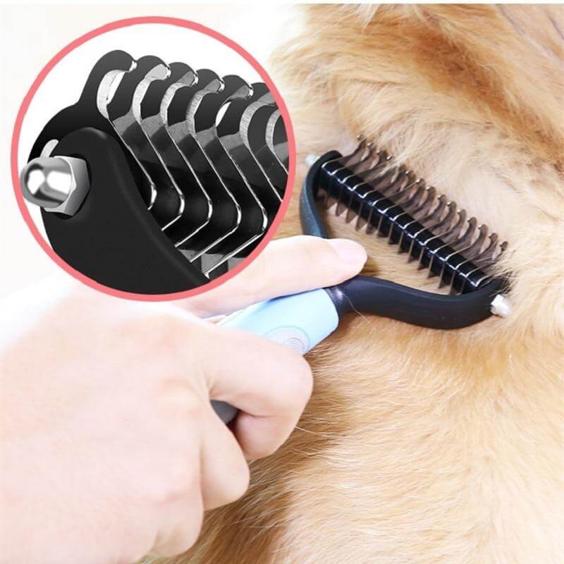 Brush: the ideal accessory for your pet