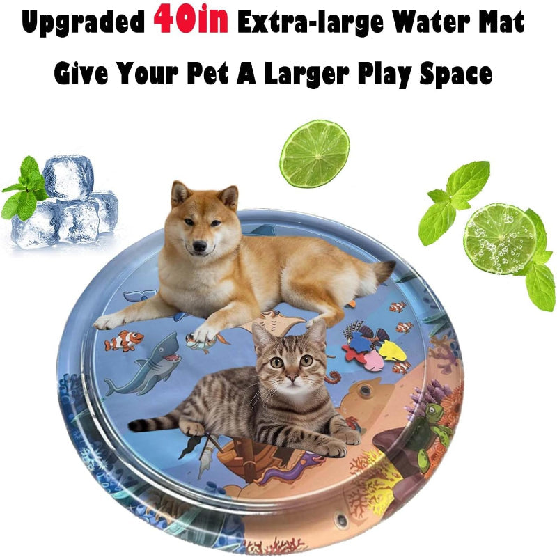 Guaranteed entertainment for cat and dog