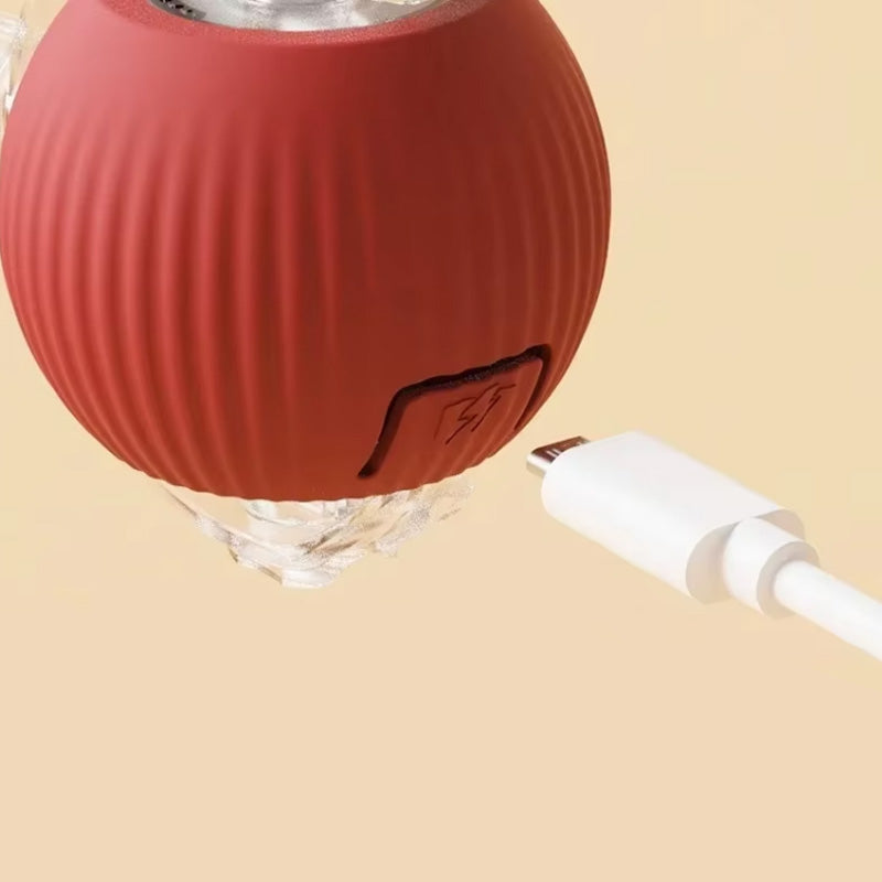 Bouncing toy for active and curious cats