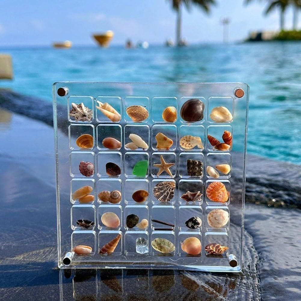 Display your shells with style and safety