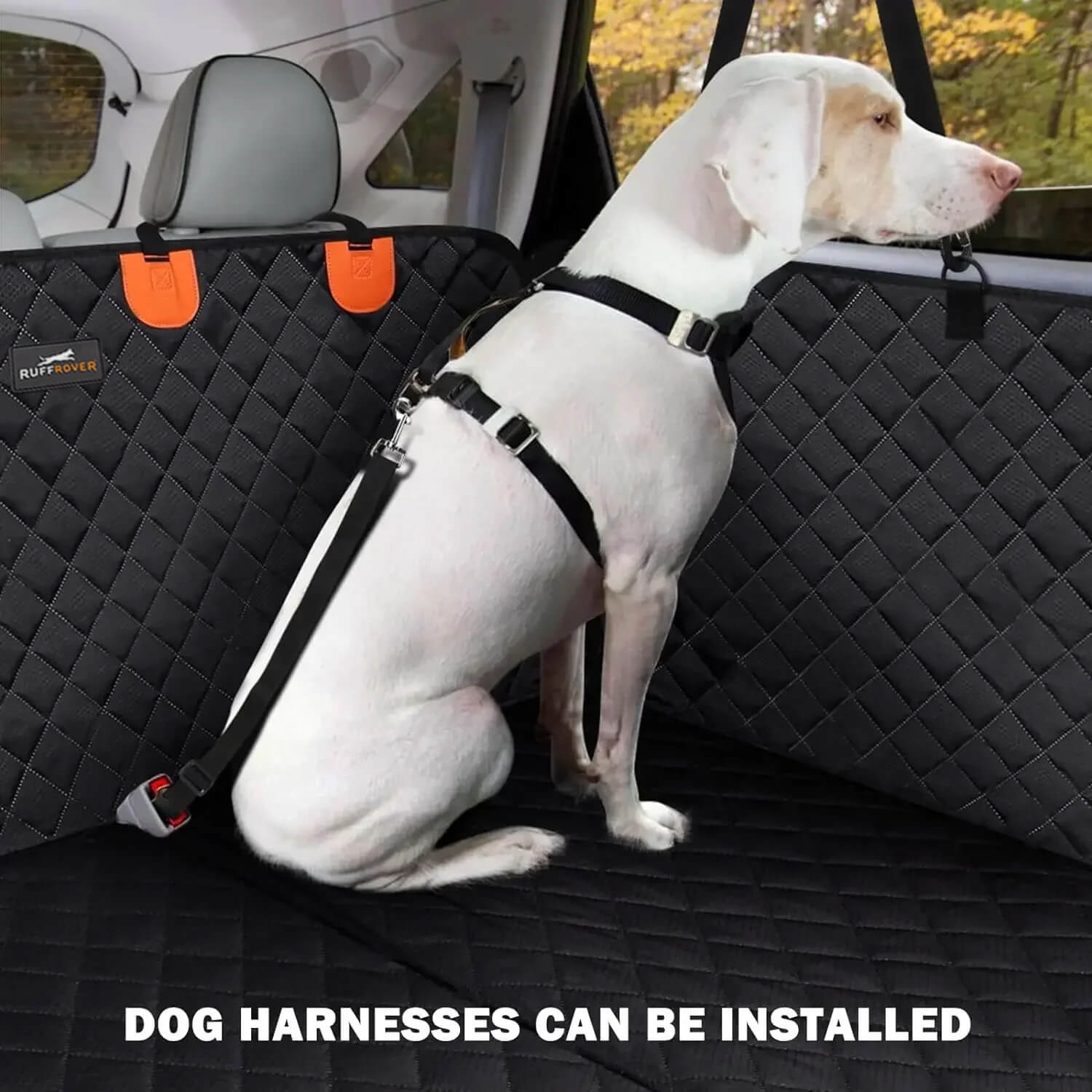 Dog Car Seat: Optimal Safety and Protection