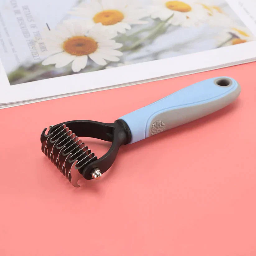 Brush: the ideal accessory for your pet
