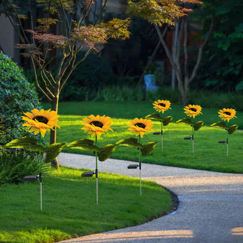 Brighten your garden with solar sunflowers 