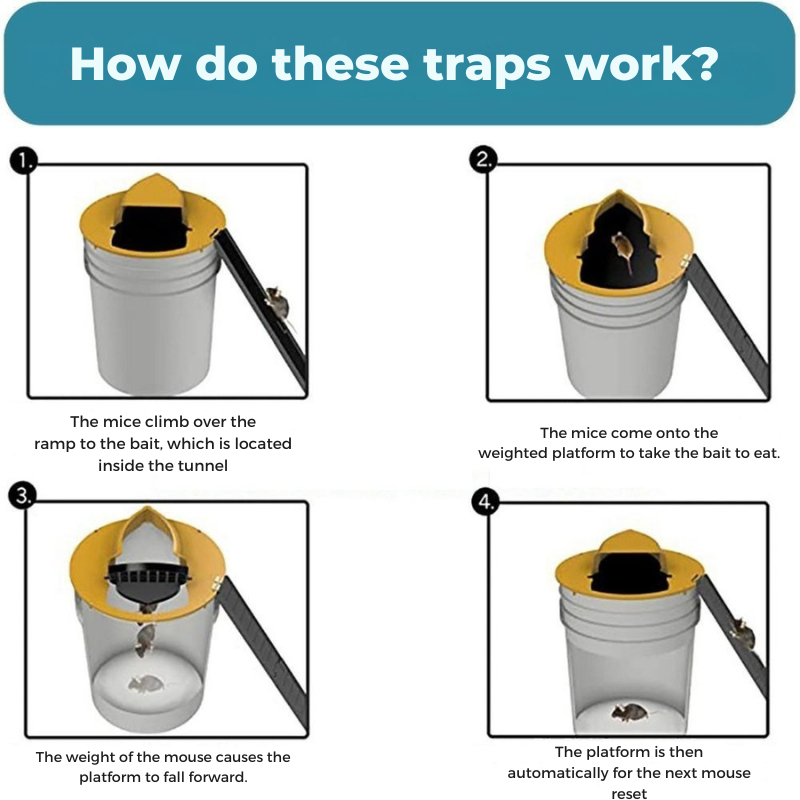 Humane rodent trap 