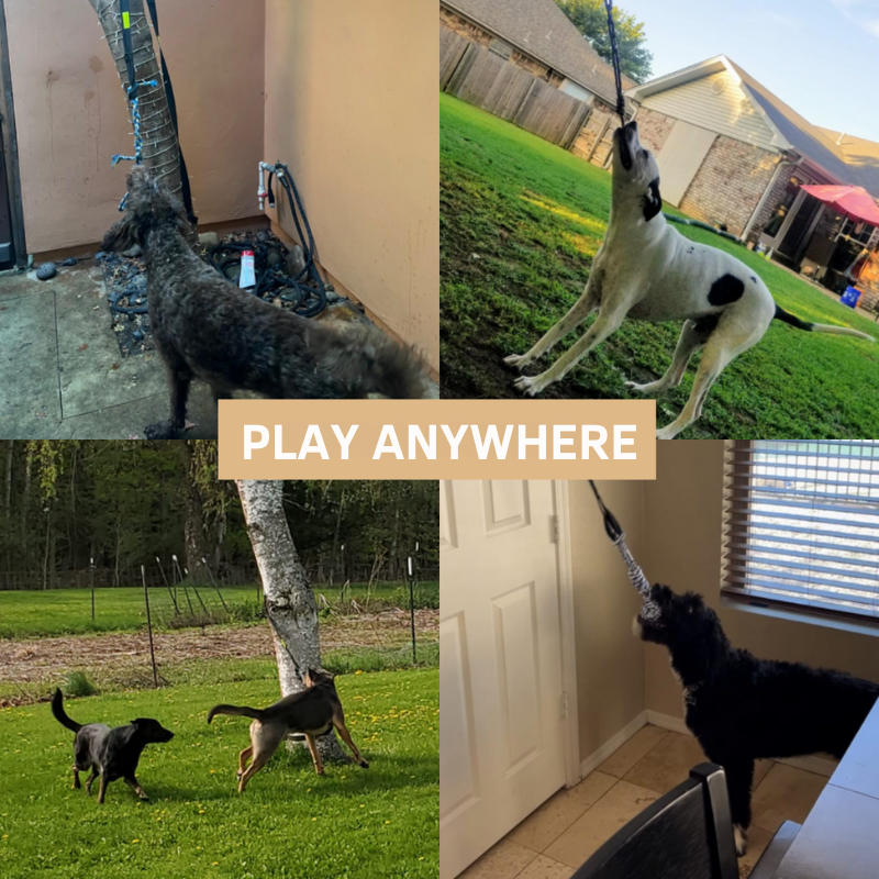 Interactive dog toy: guaranteed fun! 