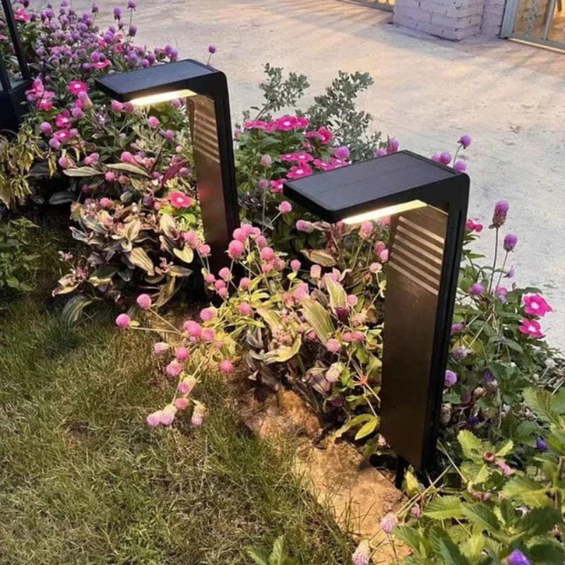 Light up your garden without electricity or effort 