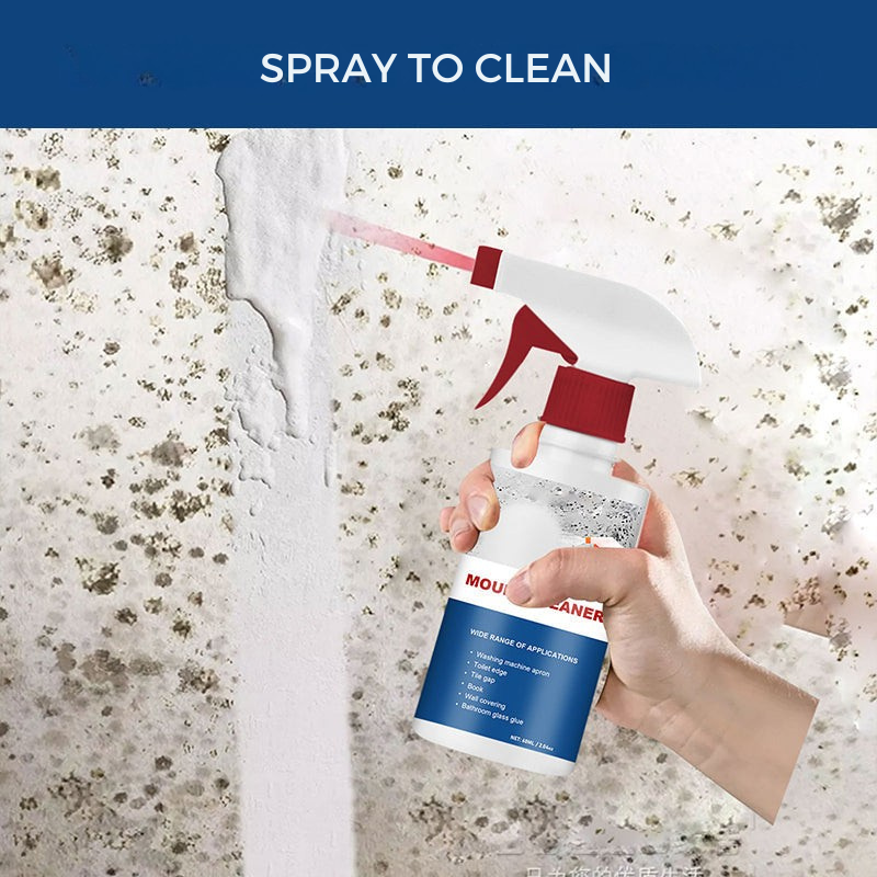 Anti-mold cleansing mousse for a healthy home 