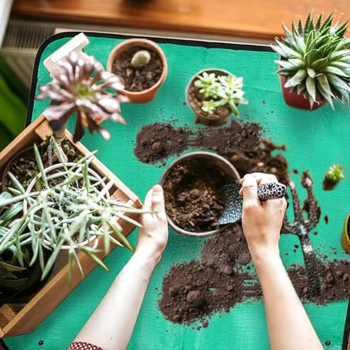Keep your space clean with this repotting mat 