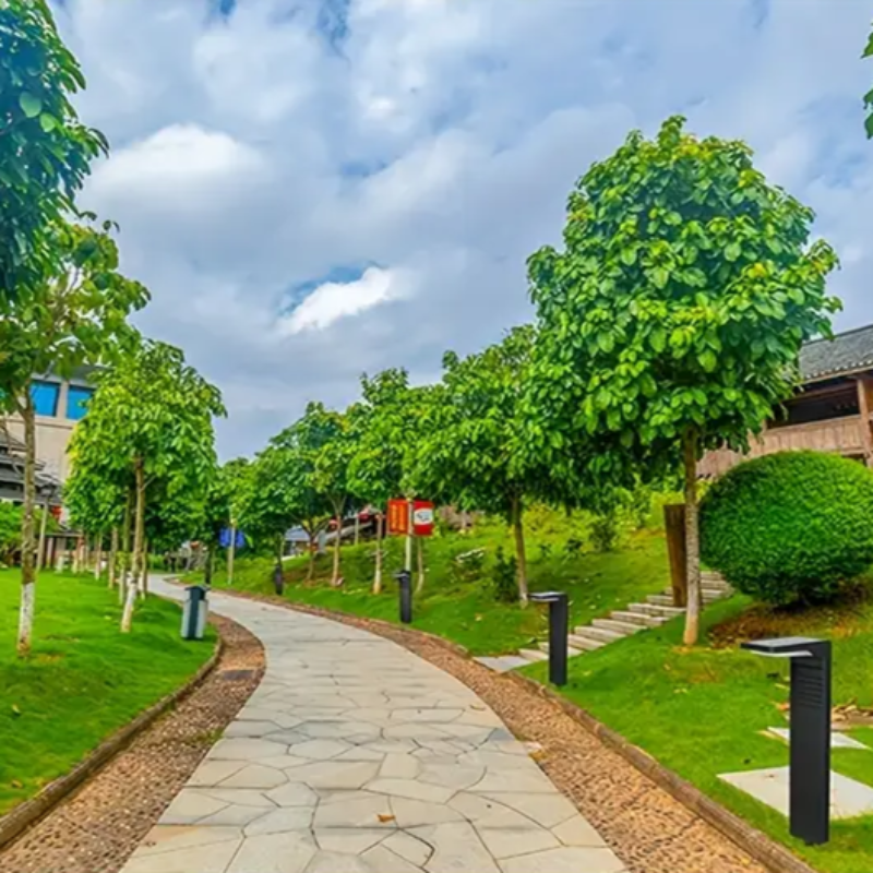 Light up your garden without electricity or effort 