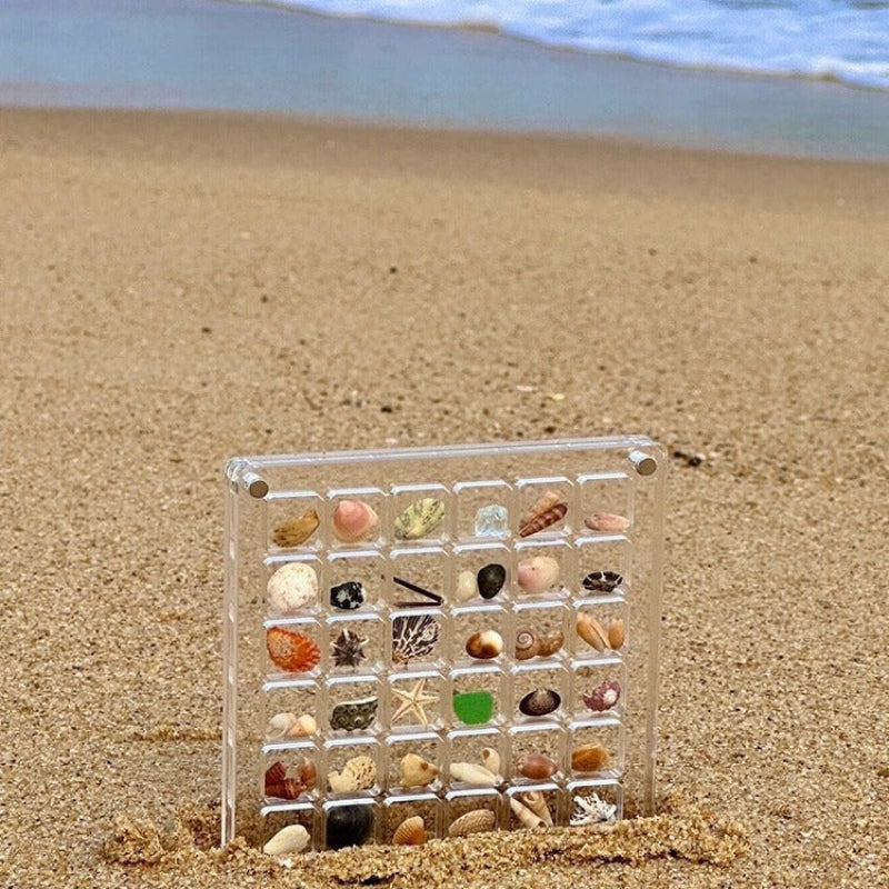 Display your shells with style and safety 